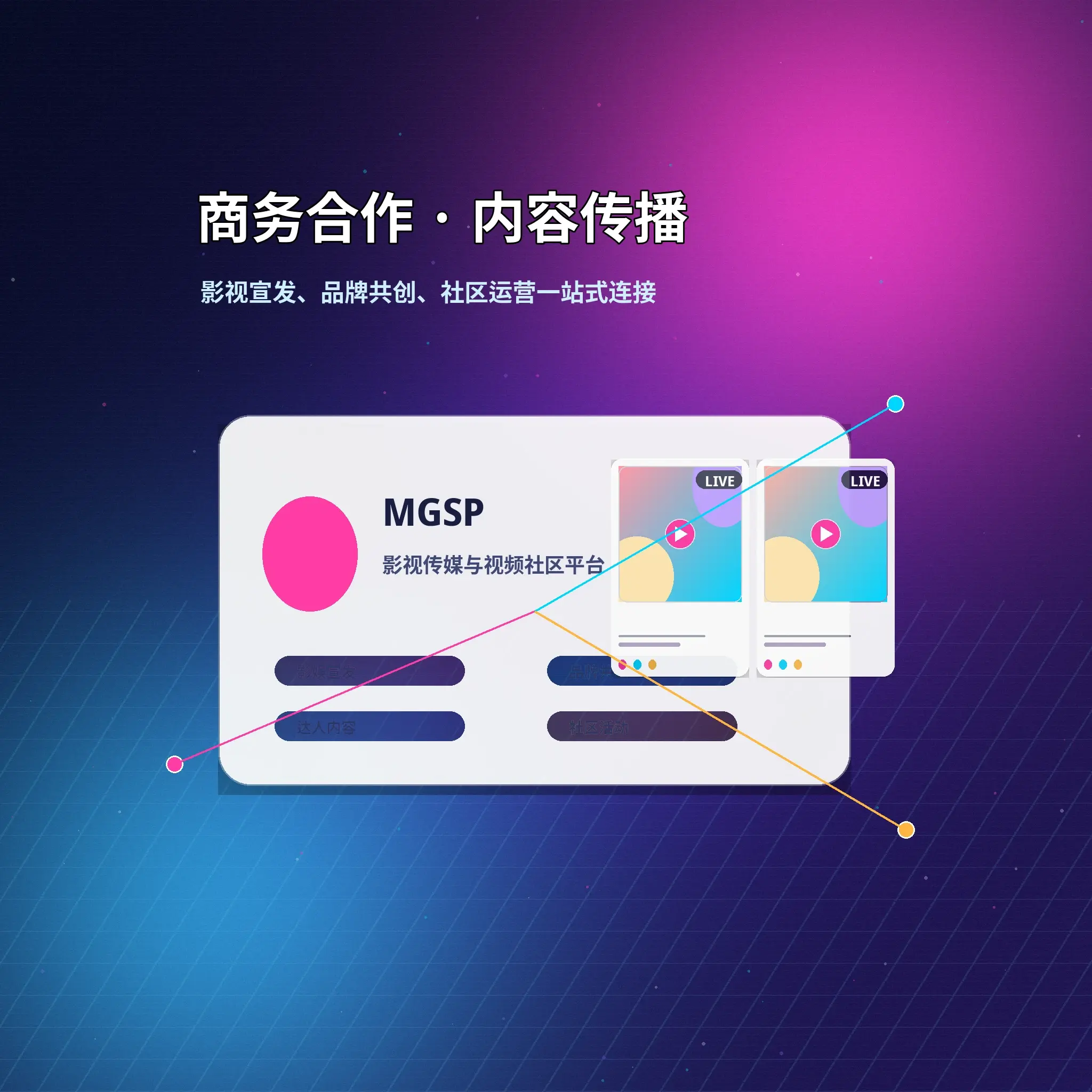蘑菇视频联系与服务反馈